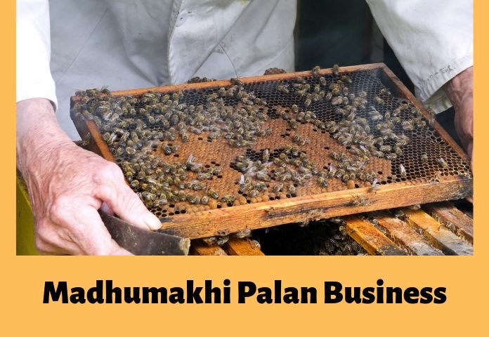 honey bee farming business plan in hindi