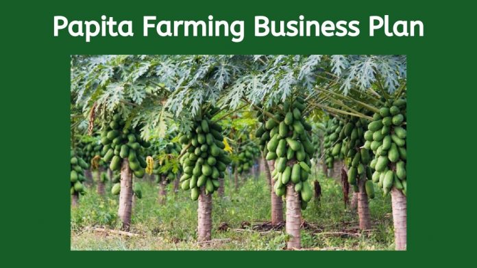 farming business plan in hindi